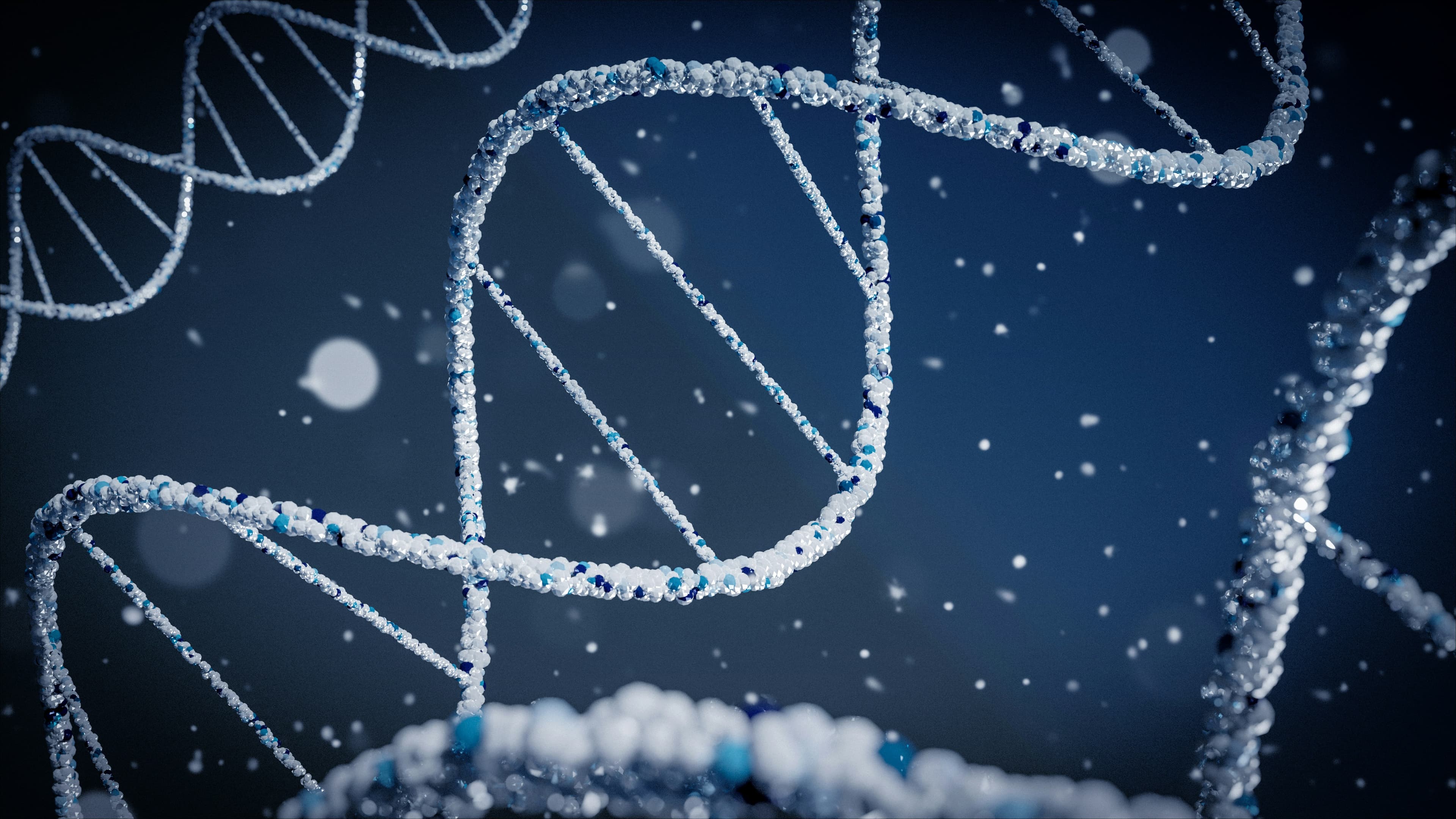 DNA double helix
